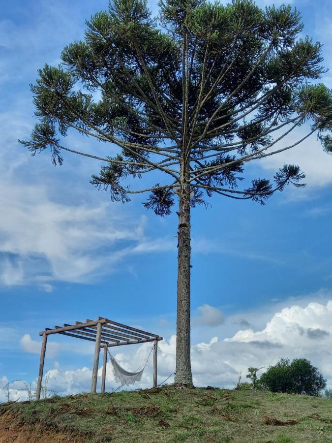 Celeiro Guarapuava, 4 Quartos, Paz E Tranquilidade Eksteriør bilde